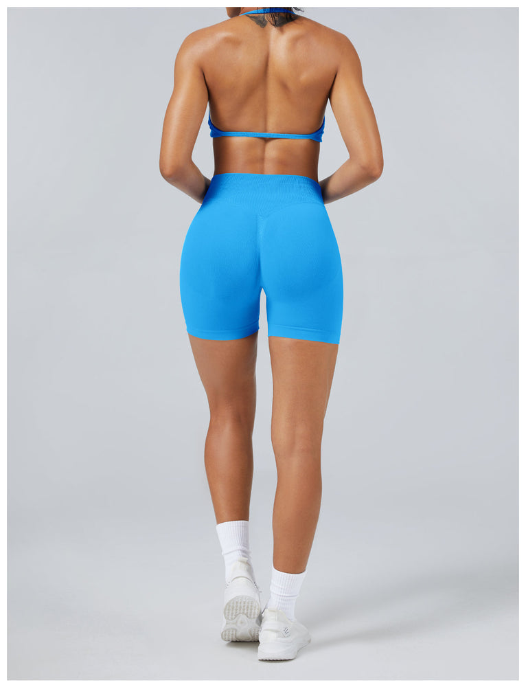 Elevated Seamless Training Set
