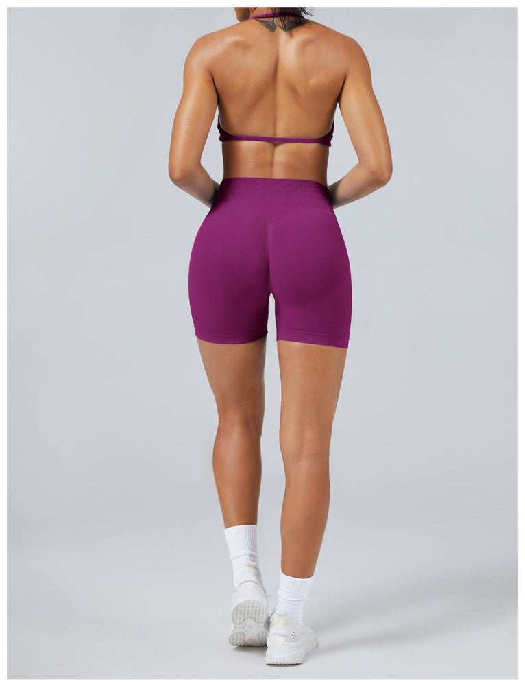 Elevated Seamless Training Set