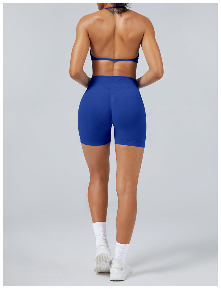 Elevated Seamless Training Set
