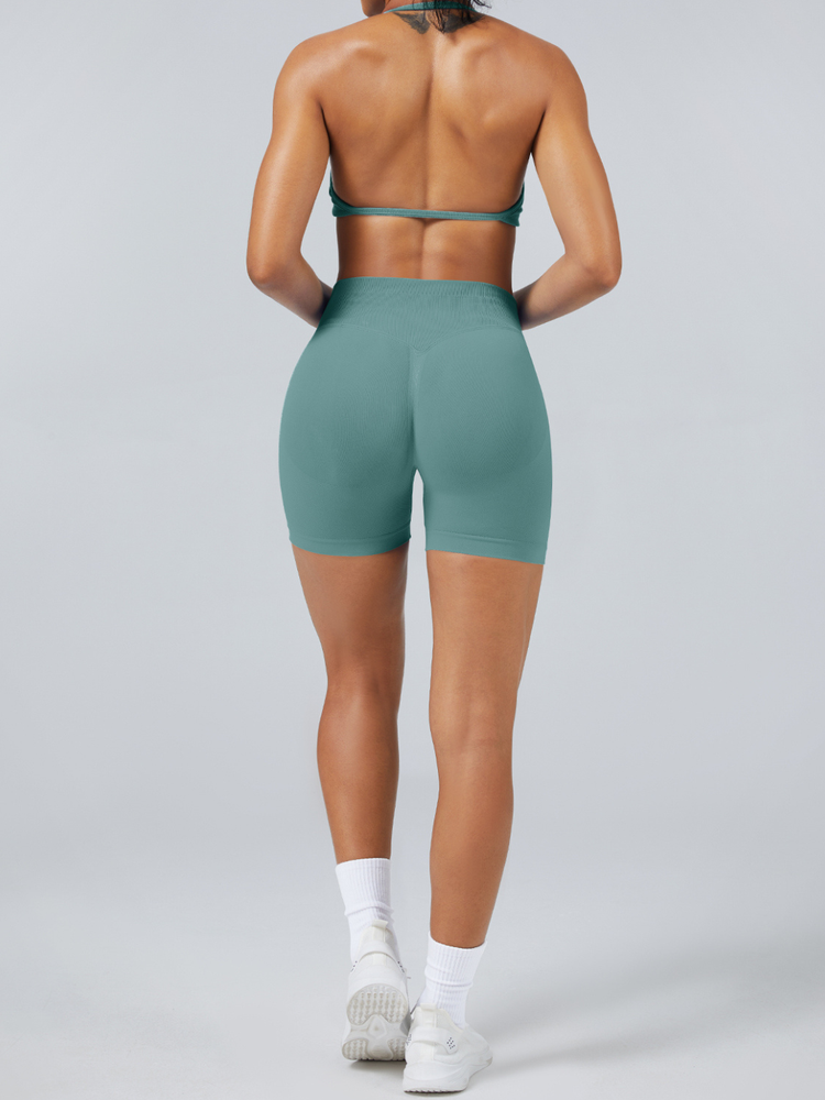 Elevated Seamless Training Set