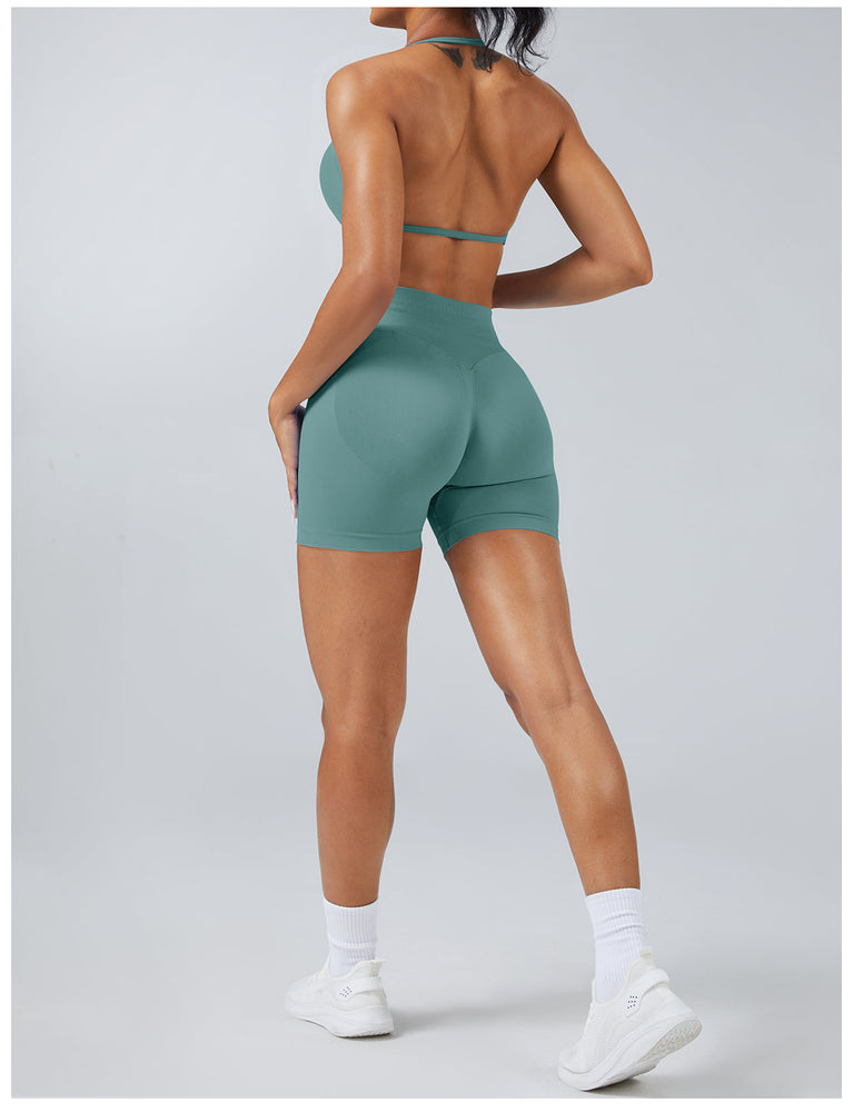 Elevated Seamless Training Set