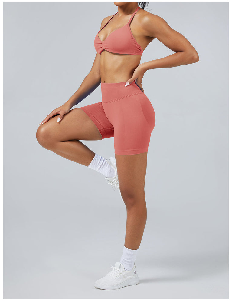 Elevated Seamless Training Set